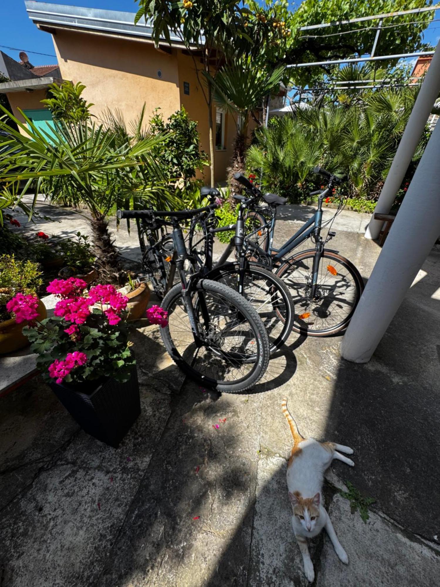Eleonora Apartments Zadar Bagian luar foto